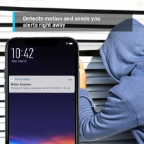 Cámara de vigilancia Tp-Link TC70 Wi-Fi